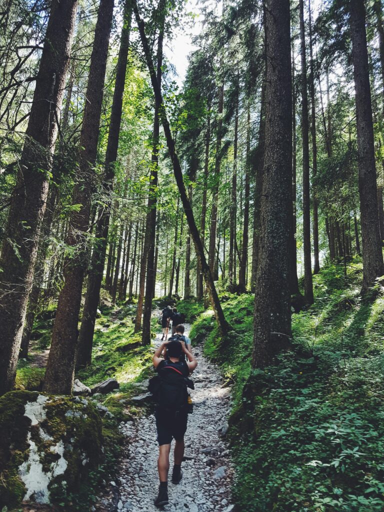 pexels-photo-1194235-1194235 Hikers explore a lush forest trail in Garmisch-Partenkirchen, Germany.